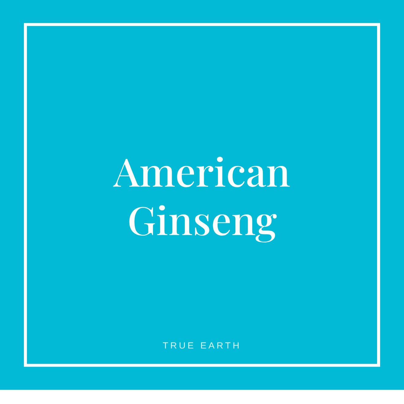 True Earth American Ginseng