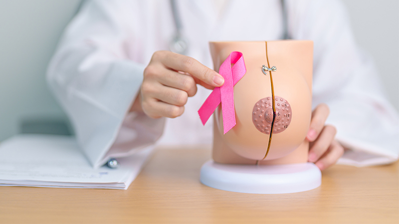 A doctor holds a breast cancer awareness pink ribbon near a model of a breast. Breast reconstruction surgery concept.